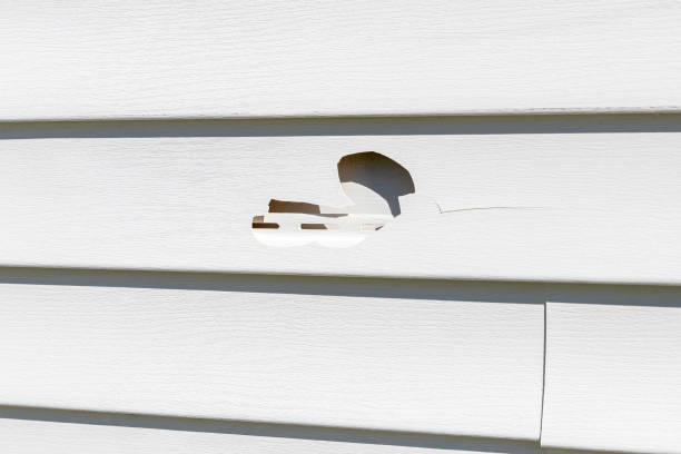 Storm Damage Siding Repair in Cleves, OH